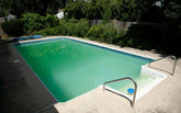 learn how to treat pool algae